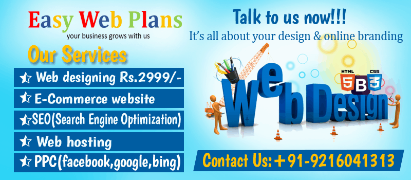 Web Designing Company in Ludhiana