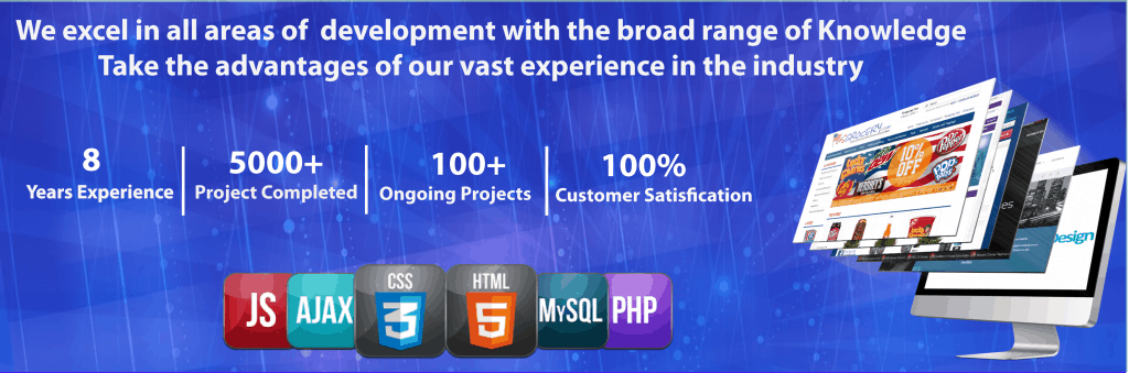 Web Development Company in Punjab