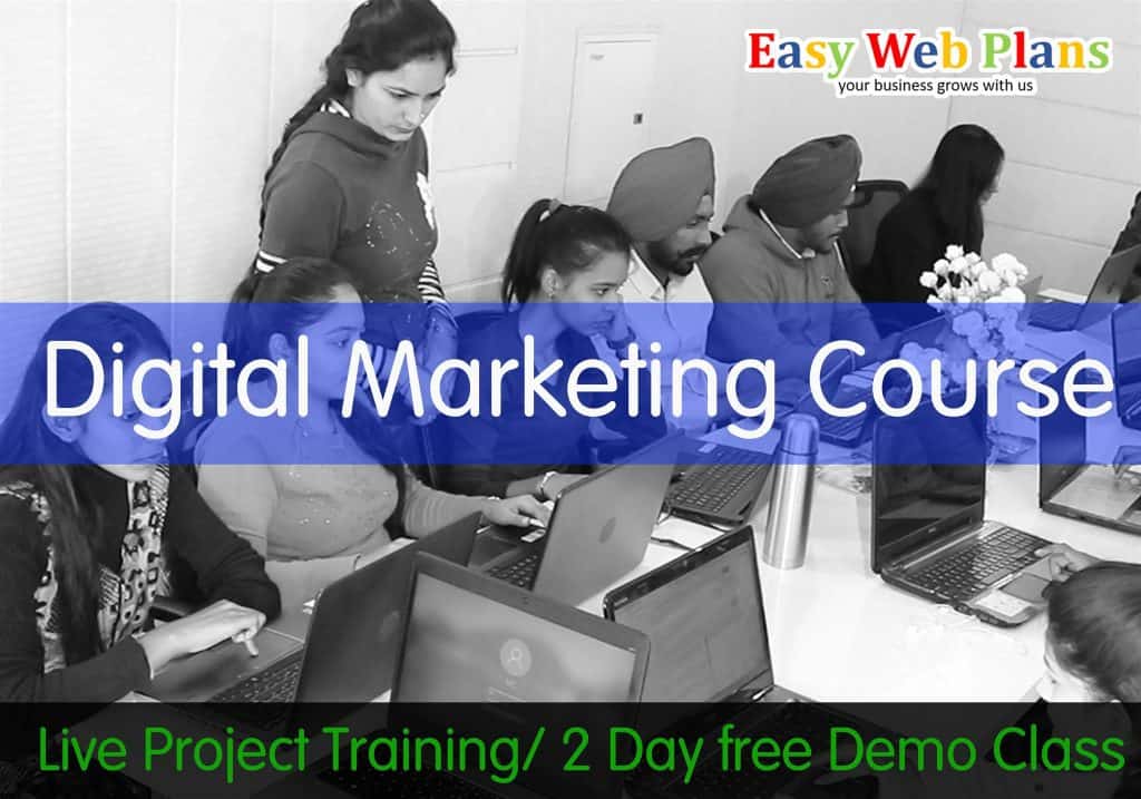 easywebplans culture- digital marketing courses in Patiala