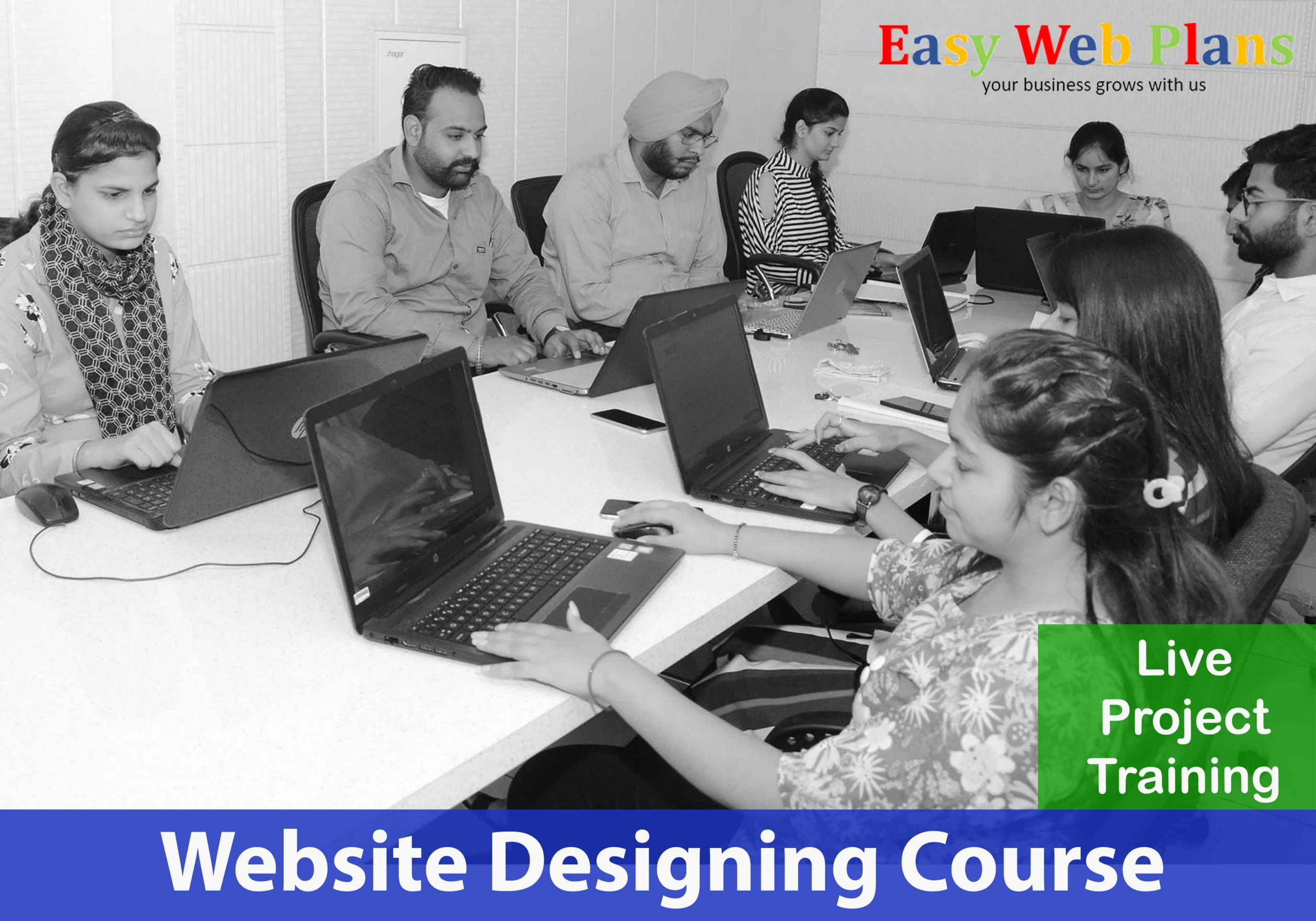 website designing course in patiala