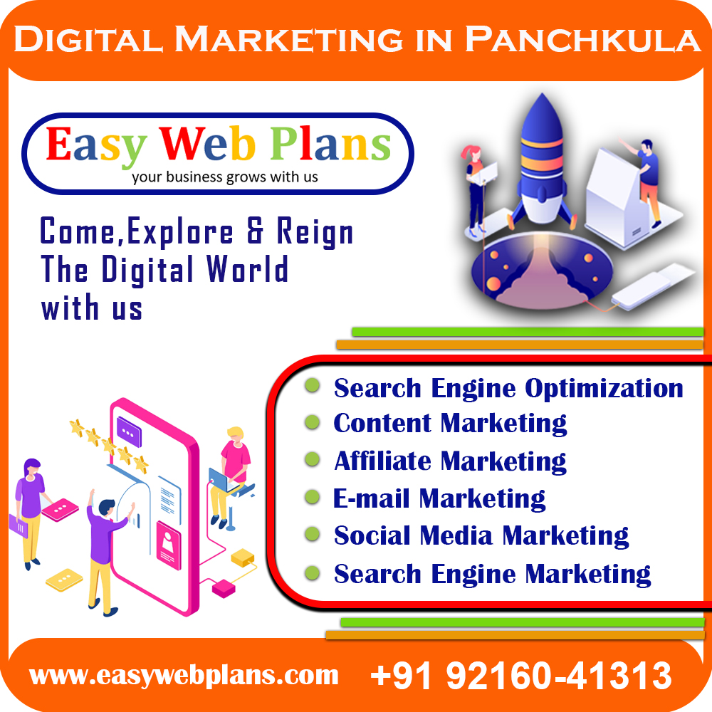 Digital Marketing Company in Panchkula