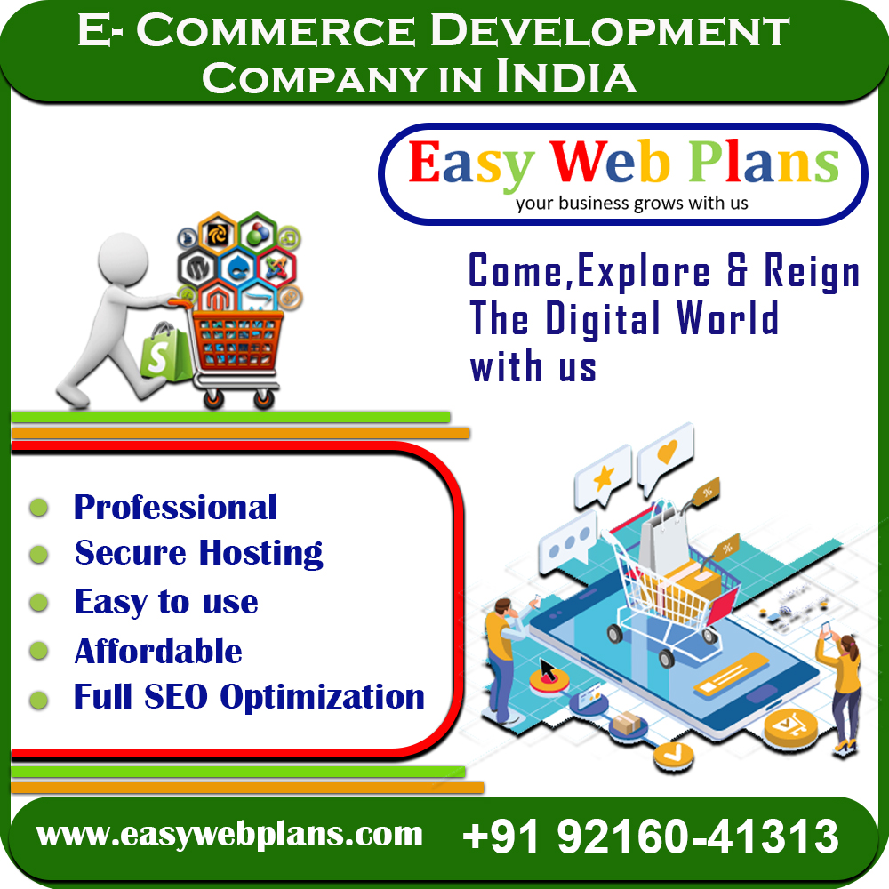 Ecommerce Website Design in India