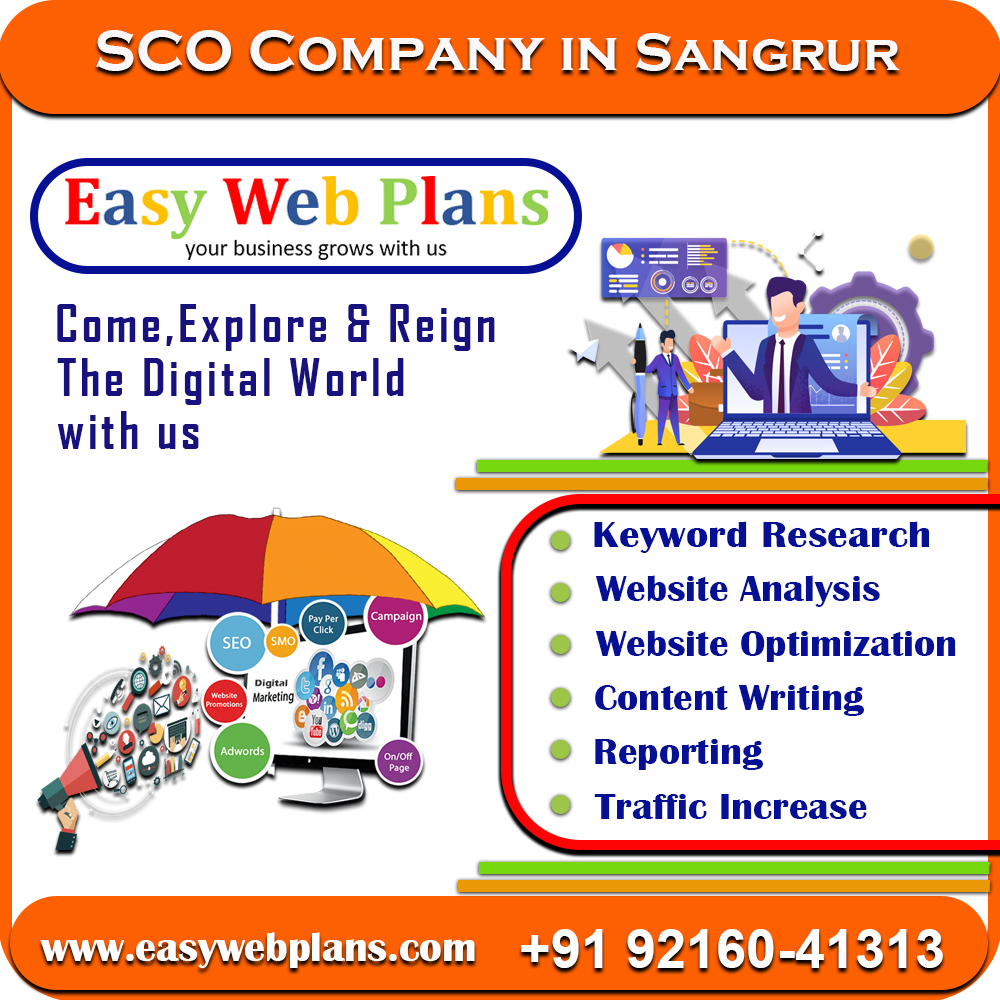 SEO Company in Sangrur
